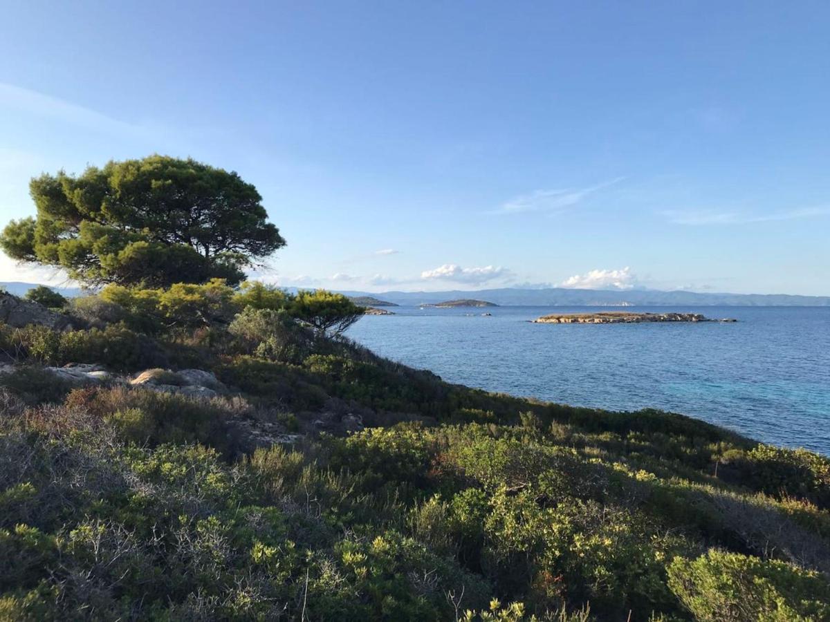 Makis Nest Apart-Hotel Vourvourou Eksteriør billede
